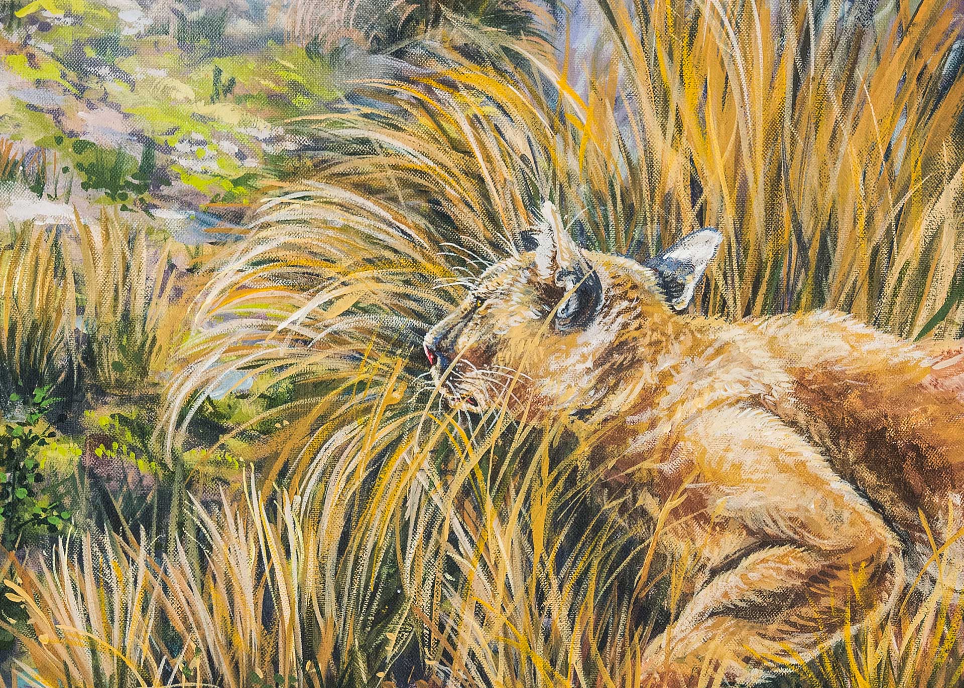 Opportunity of Vicuña: Wildlife of the Andes - Kris Friesen Canadian Mural  & Wildlife Artist